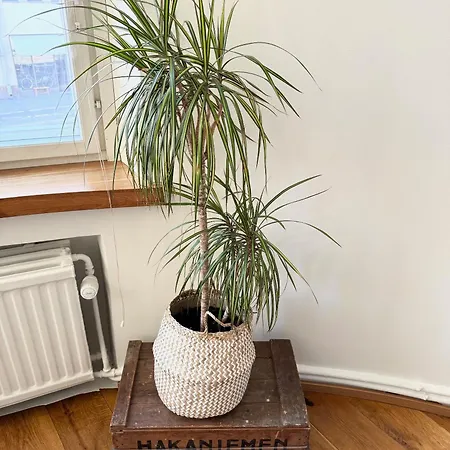 Hakaniemi Luxury Center, 24h Check In Helsinki